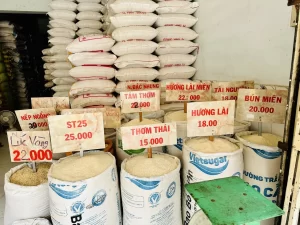 Thị trường giá gạo trong những năm gần đây